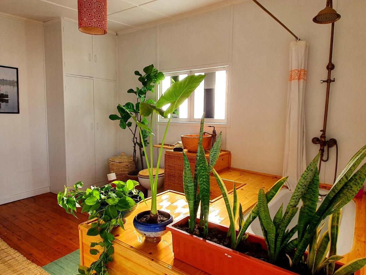 Houseboat65 - Historic Home On The Nile - Central Кайро Екстериор снимка