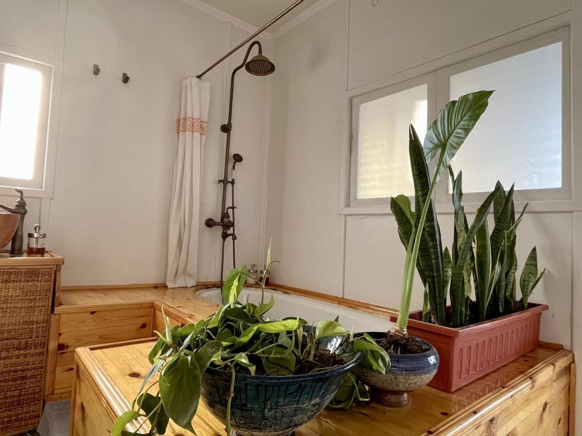 Houseboat65 - Historic Home On The Nile - Central Кайро Екстериор снимка